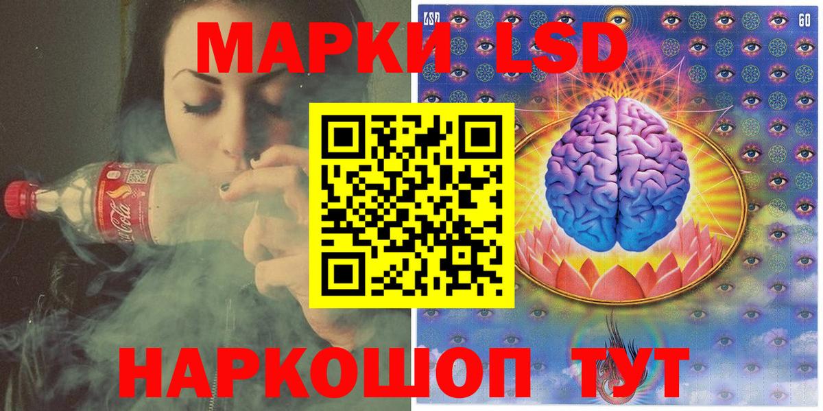 Марки N-bome 1,8мг  Вход с VPN  Лесной 