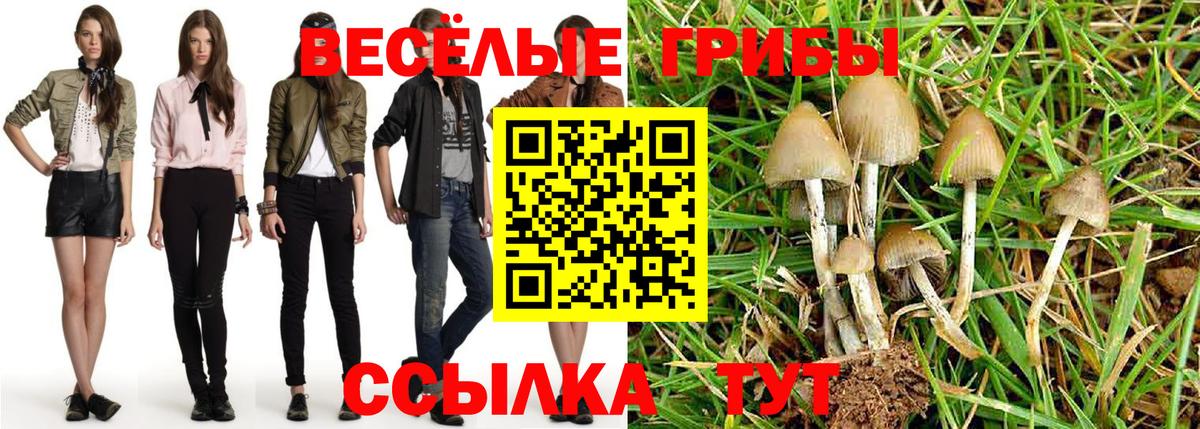 Галлюциногенные грибы мухоморы Лесной