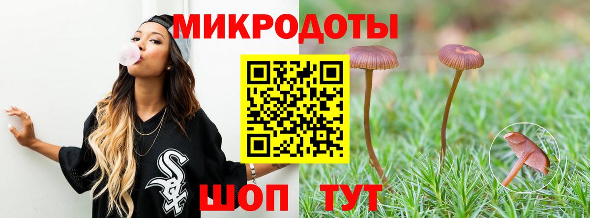 Лесной  Галлюциногенные грибы Psilocybe  Вход с VPN 